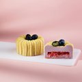 Муссовое пирожное "Грейпфрут-личи" Torta x Minidino